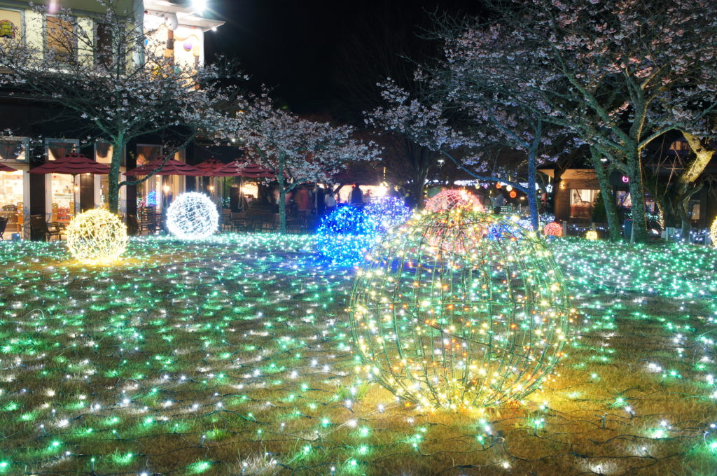 時之栖　ひかりのすみか