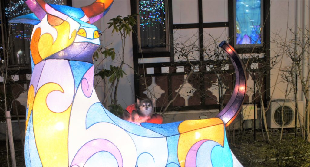 時之栖　ひかりのすみか　リズ1