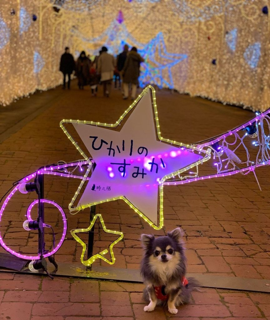 時之栖　ひかりのすみか　リズ2