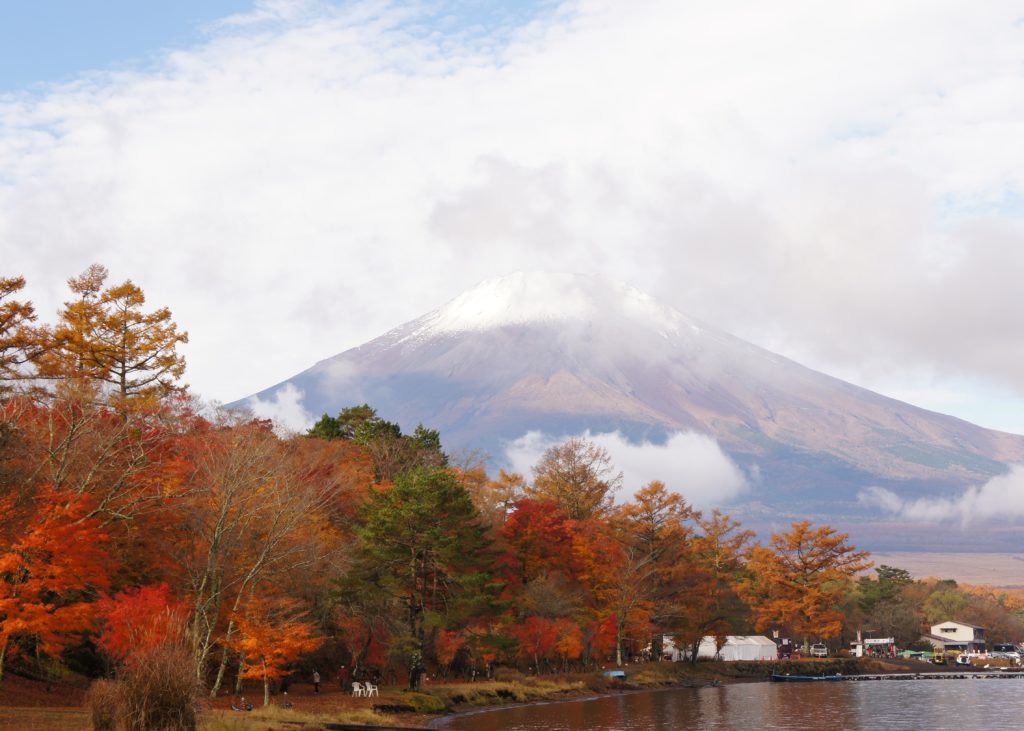 20201108山中湖紅葉と富士山